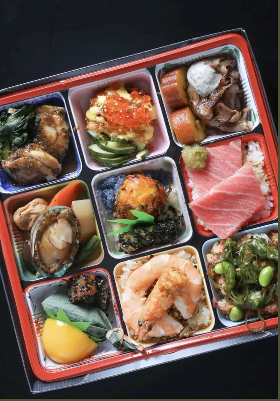 Takumi-9 Shinkansen Bento - Premium Japanese lunch box